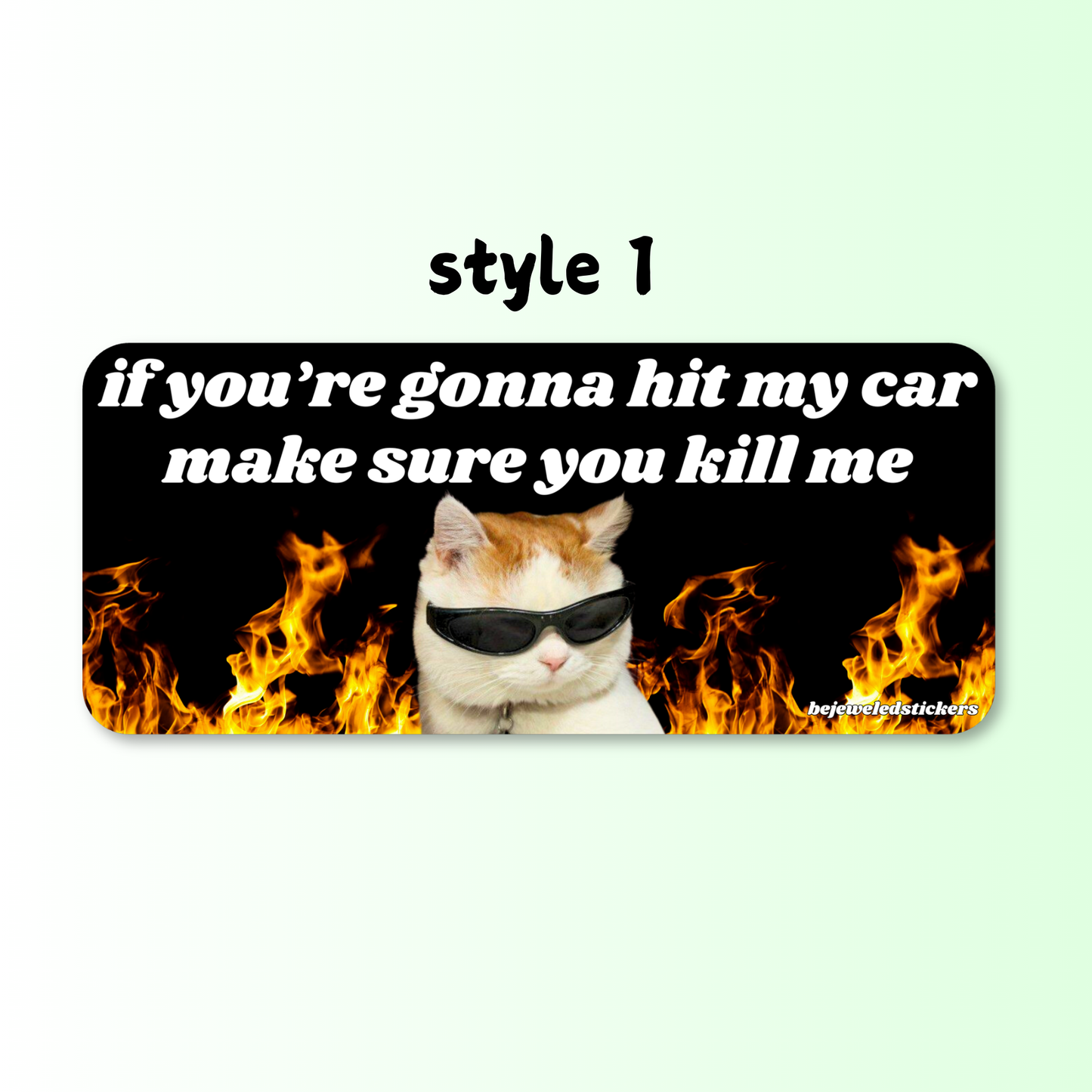 if you're gonna hit my car, make sure you kill me