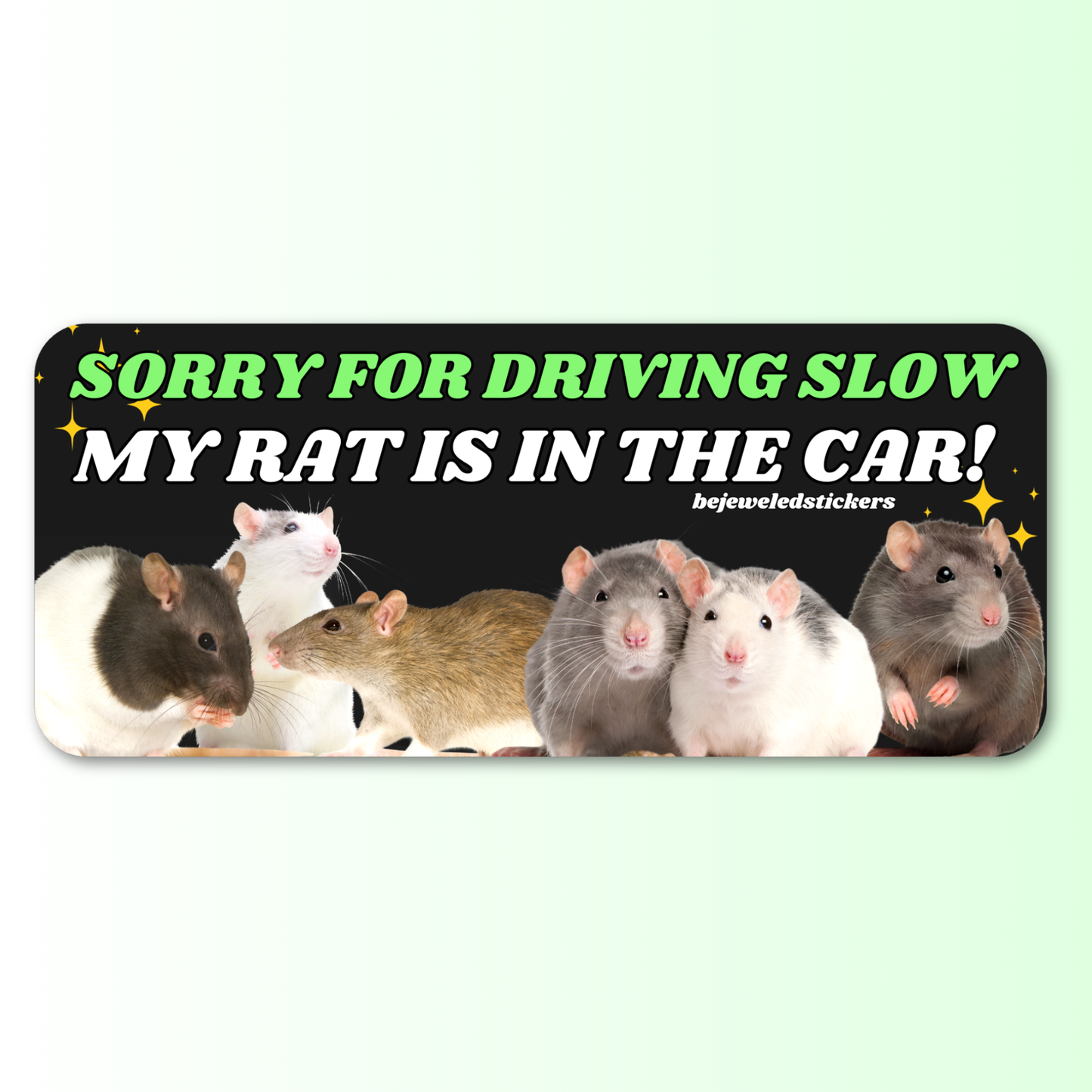 Sorry for driving slow, my rat is in the car