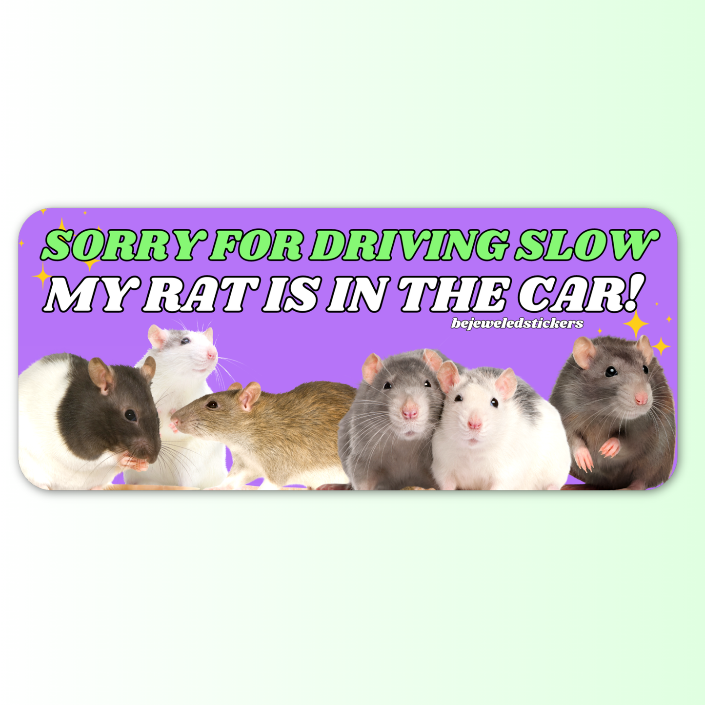Sorry for driving slow, my rat is in the car