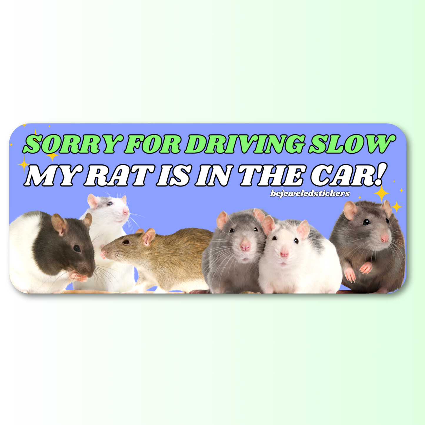 Sorry for driving slow, my rat is in the car