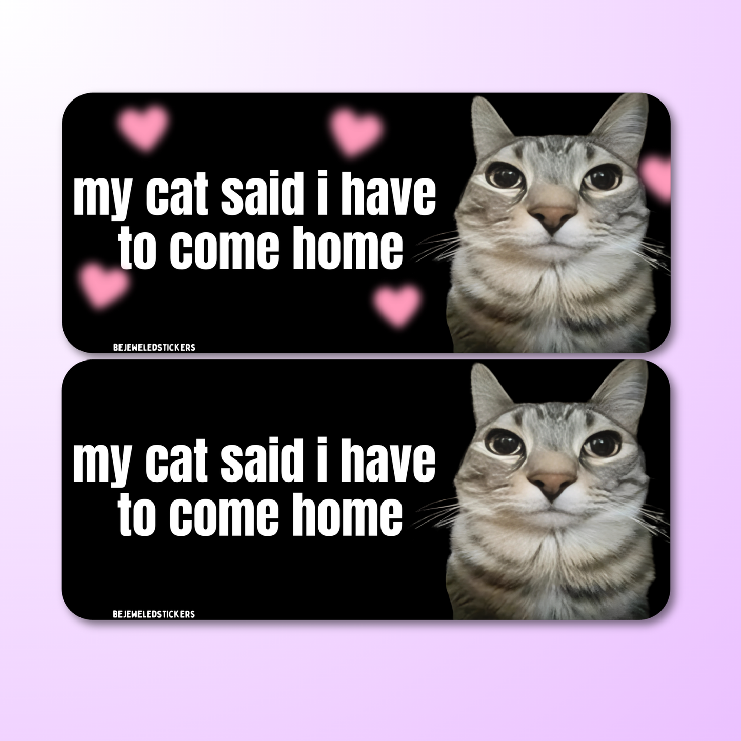 my cat said i have to come home / customizable text