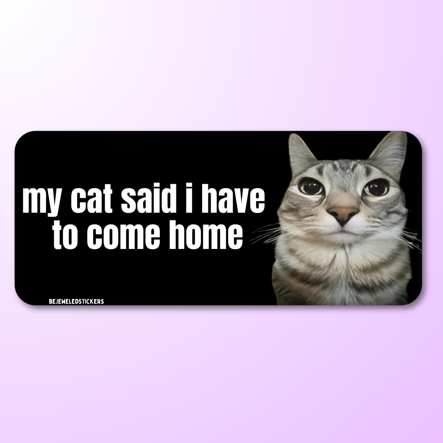 my cat said i have to come home / customizable text