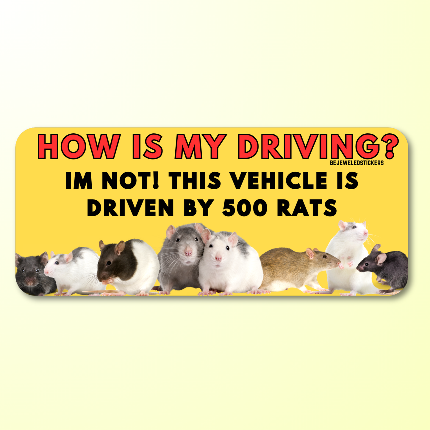 500 Rats