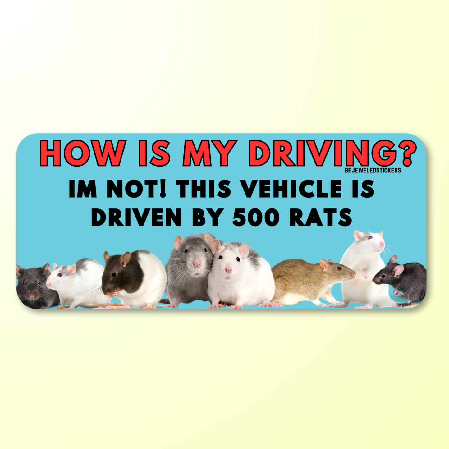500 Rats