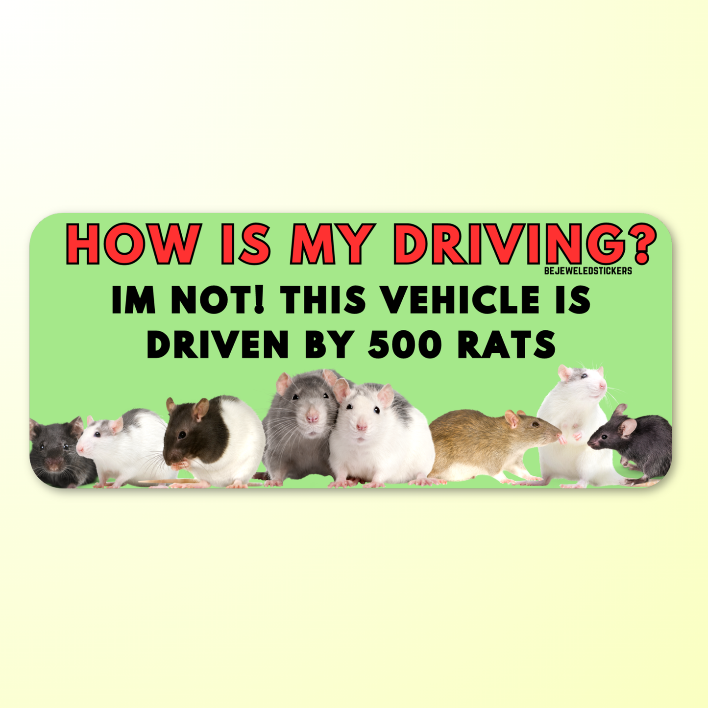 500 Rats