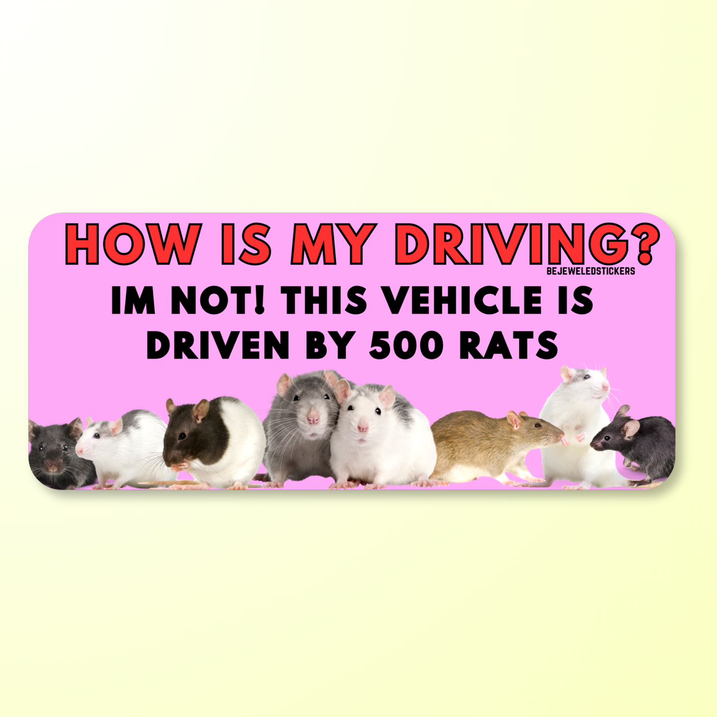 500 Rats