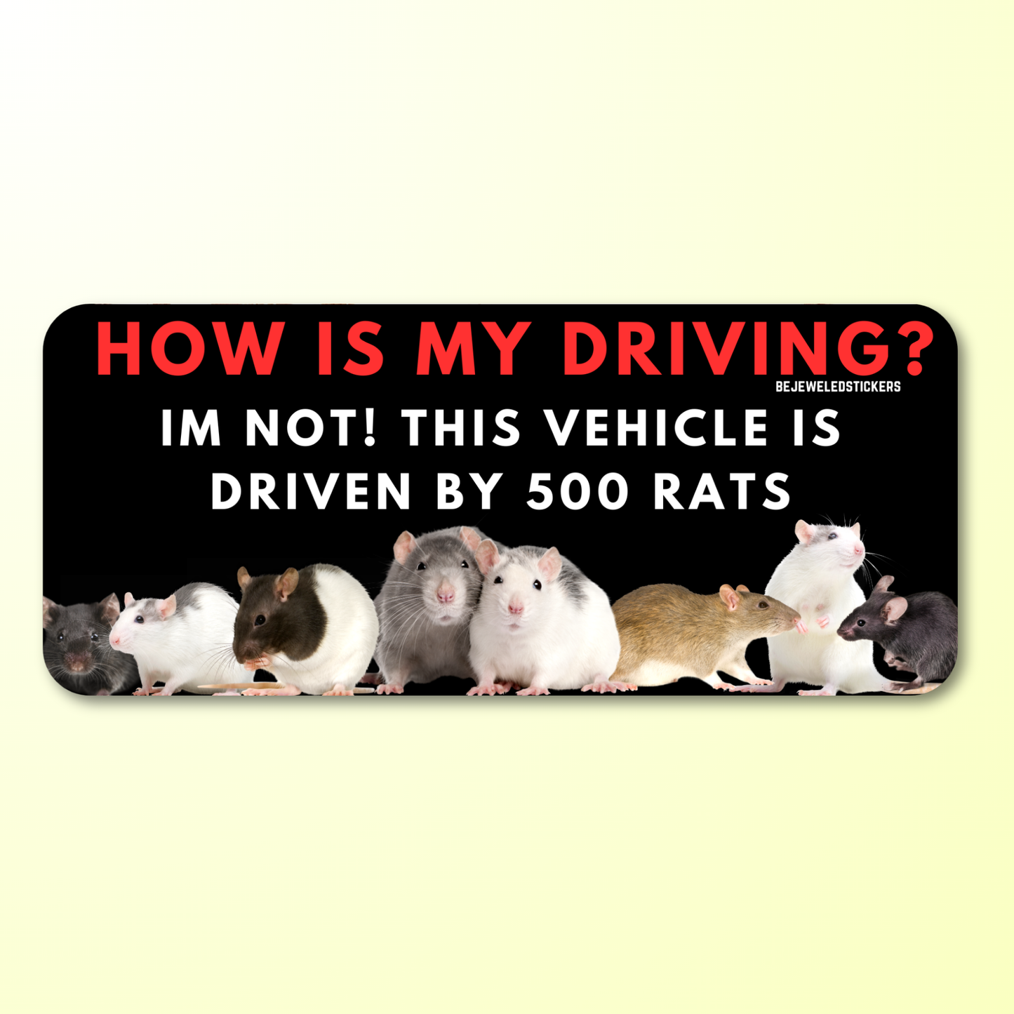 500 Rats