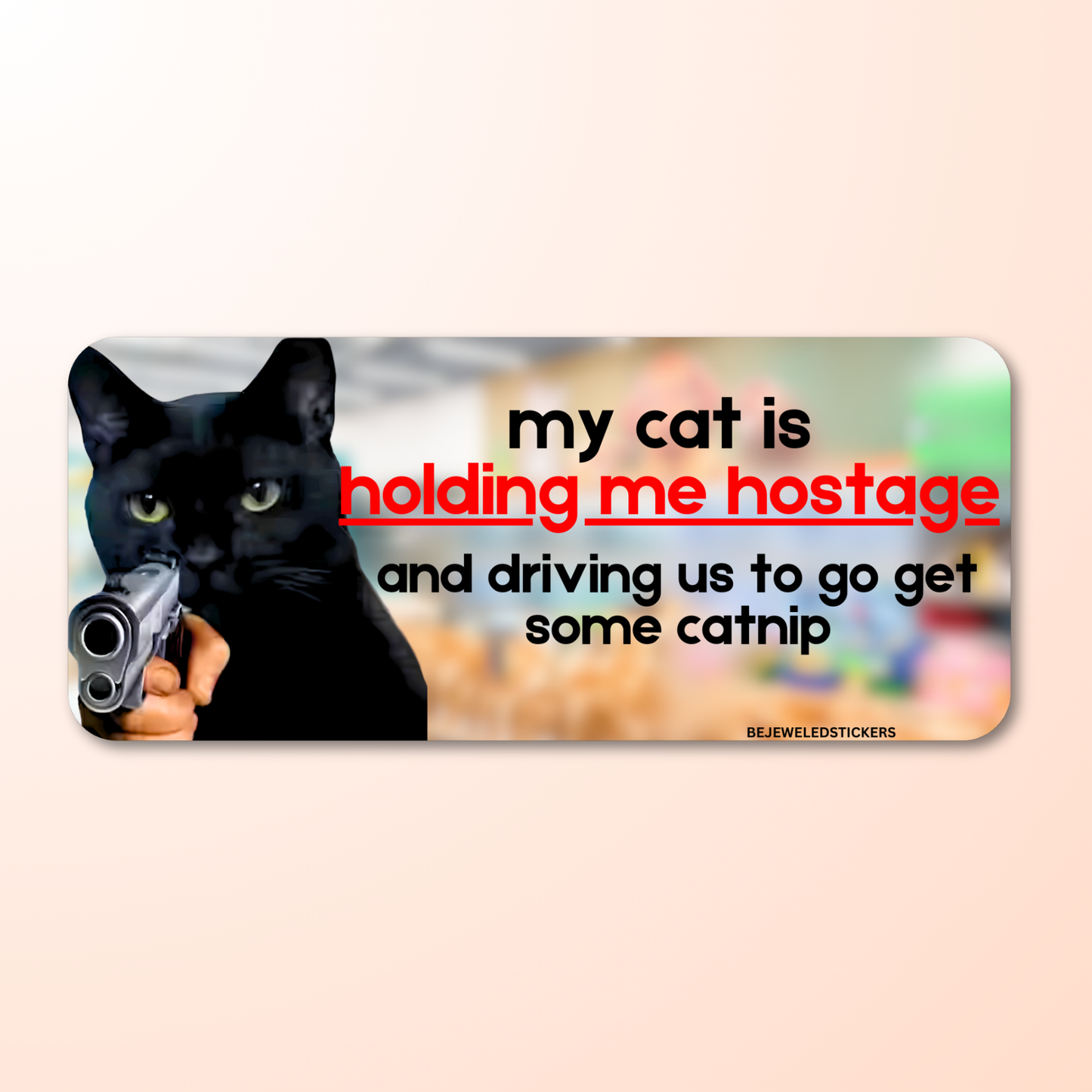 my cat is holding me hostage