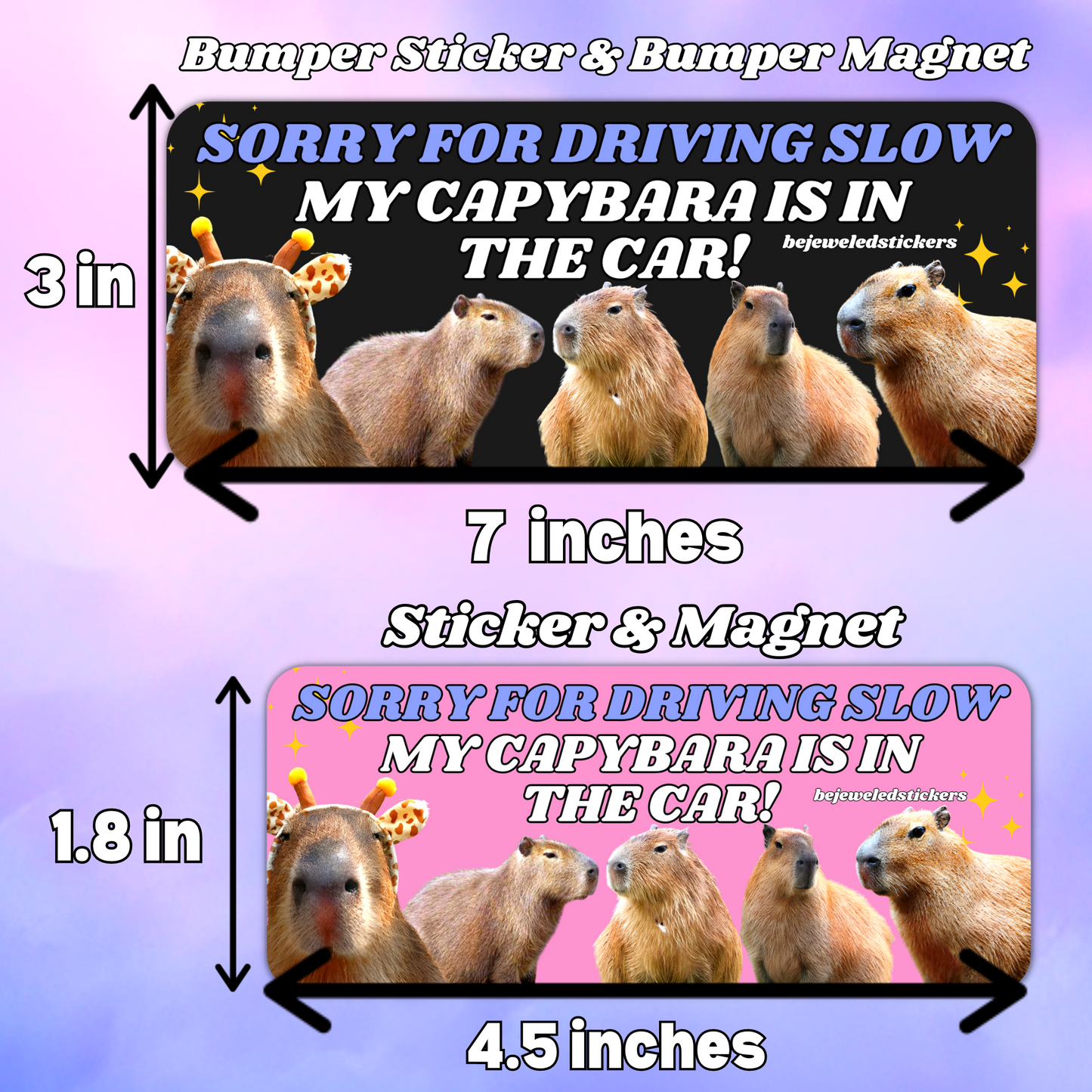 Sorry for driving slow, my capybara is in the car!