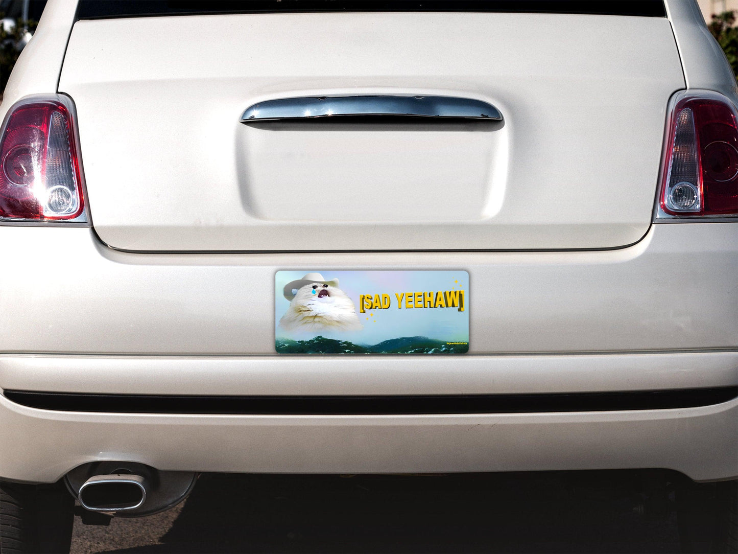 Sad Yeehaw | Sad Cute Cowboy Cat Gen Z Sticker, Bumper Sticker And Magnet! - bejeweled stickers