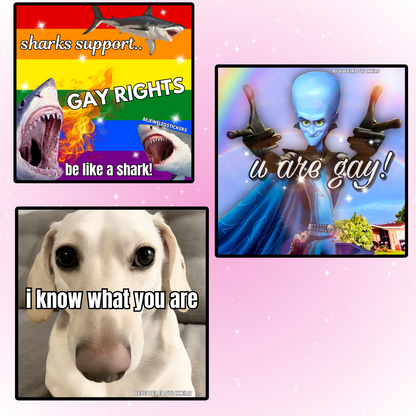 Pride Month Memes