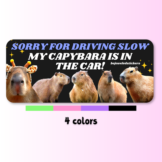 Sorry for driving slow, my capybara is in the car!