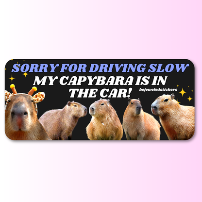 Sorry for driving slow, my capybara is in the car!