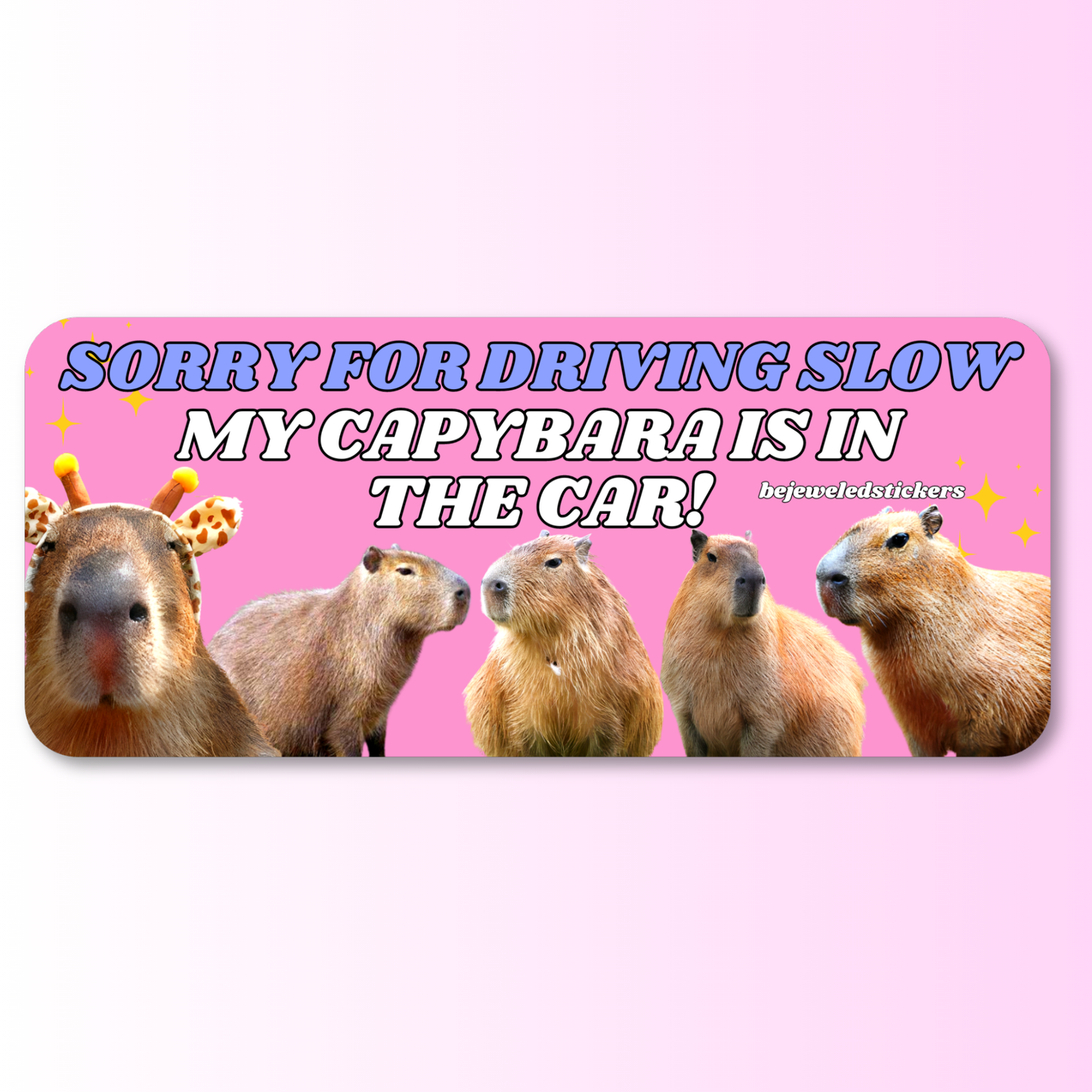 Sorry for driving slow, my capybara is in the car!