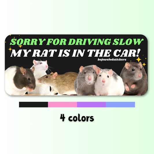 Sorry for driving slow, my rat is in the car