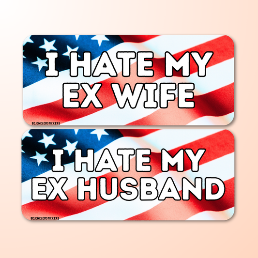 i hate my ex wife / husband