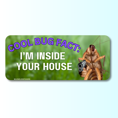 cool bug fact: im inside your house