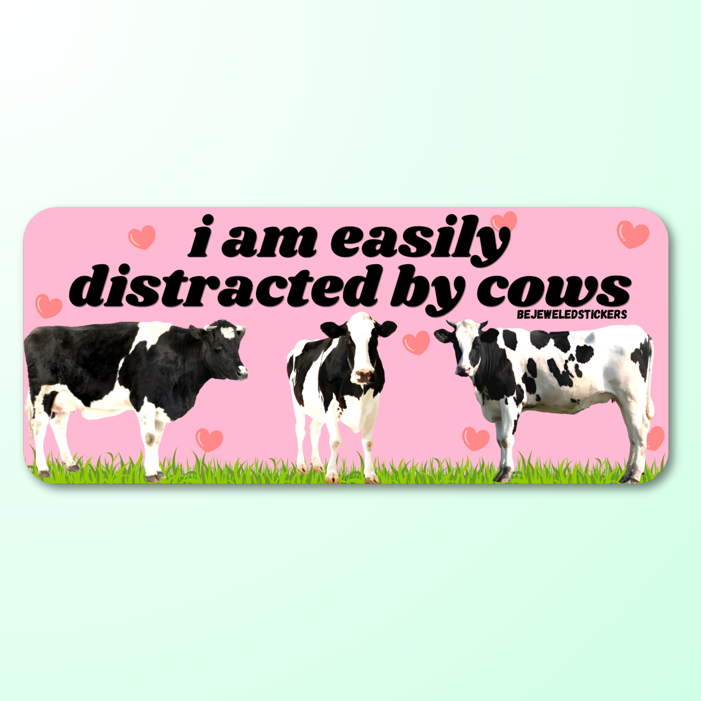 I am easily distracted by cows