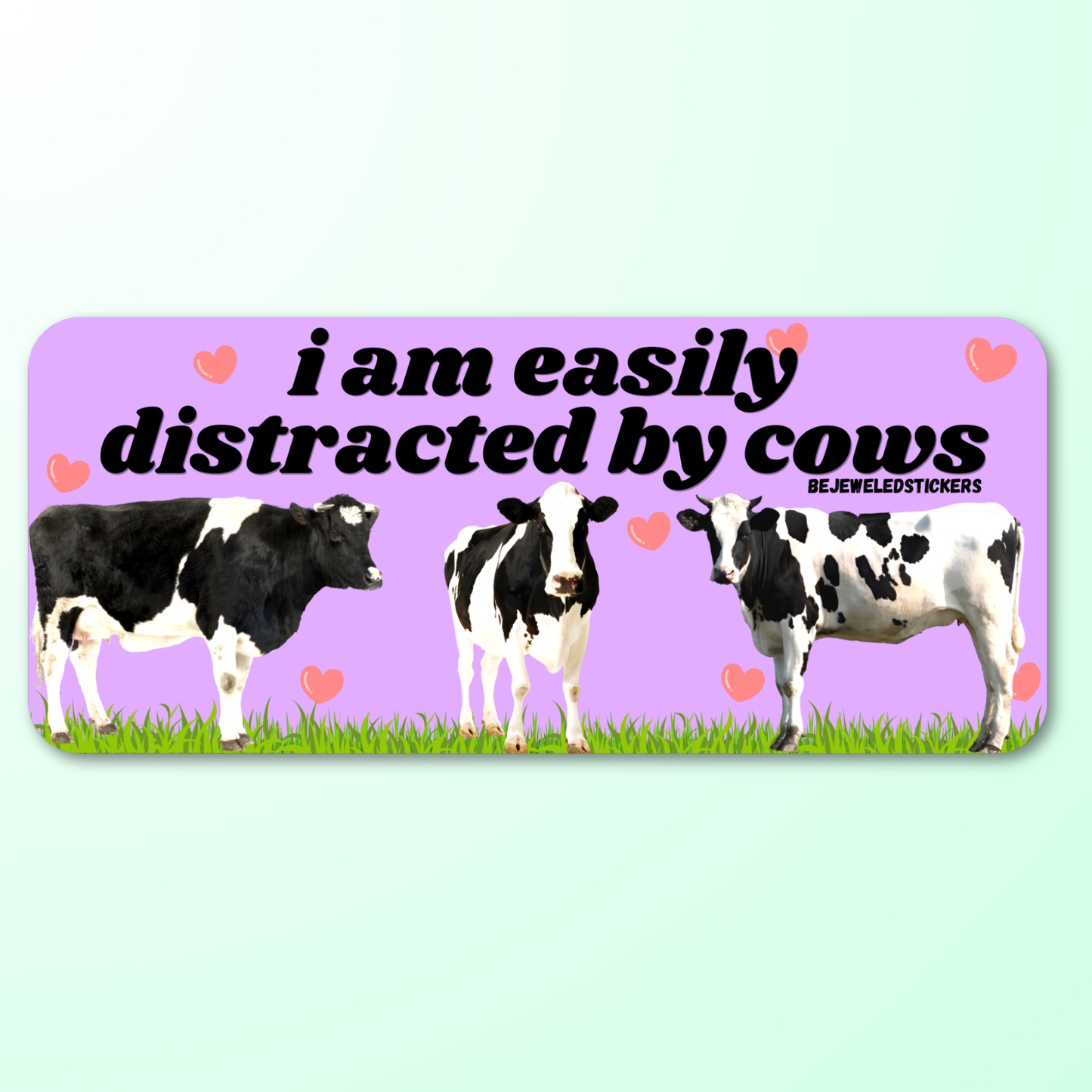 I am easily distracted by cows