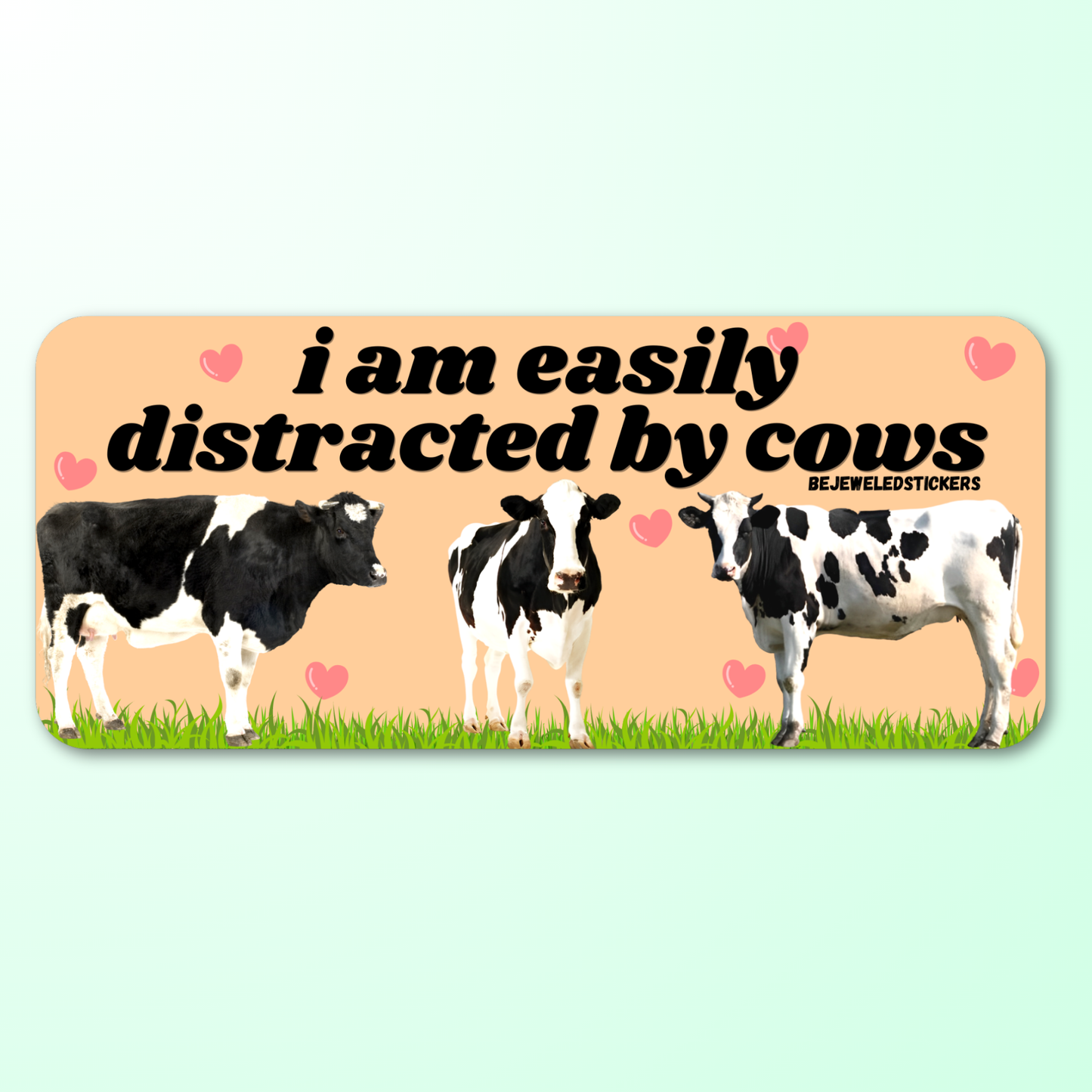 I am easily distracted by cows