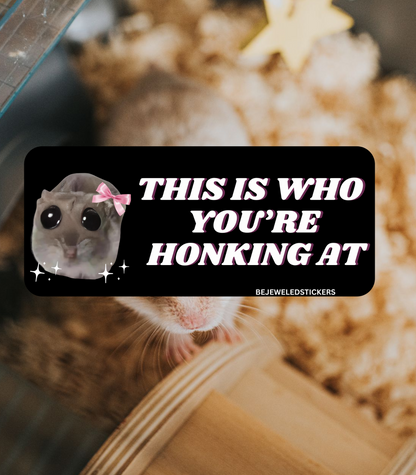 lil baby hamster meme (8 options)